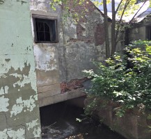 Sharon Springs, NY 46