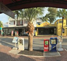 Key West: A Melange of Characters, Cats, and Chickens. 26