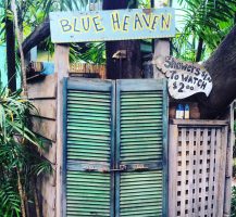 Key West: A Melange of Characters, Cats, and Chickens. 31