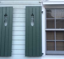 Key West: A Melange of Characters, Cats, and Chickens. 24