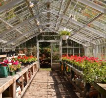 Charming Mackinac Island 57