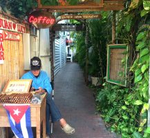 Key West: A Melange of Characters, Cats, and Chickens. 11