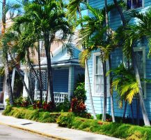 Key West: A Melange of Characters, Cats, and Chickens. 15