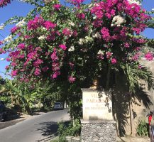 Amed, Bali 163