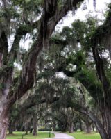 Jekyll Island Club 39
