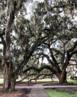 Jekyll Island Club 40