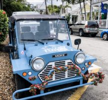 Holiday Travels 2019 107